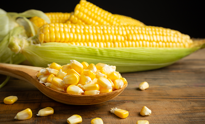 Corn, Sweet & Grain Farming